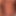 HungBttm9x5