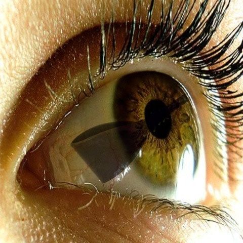 eye_lashes