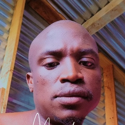 King-Taiza
