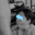 blowprinses