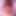 HotFillings555