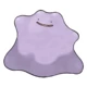 dittoteo