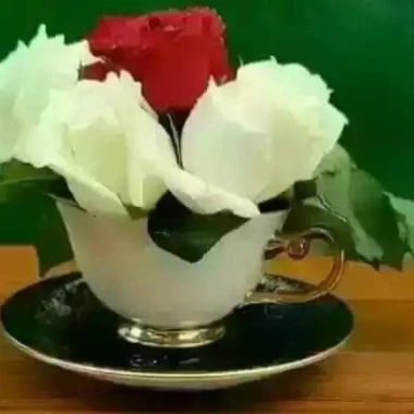 Shahidl