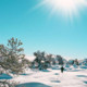 Mohamed_ahmed8