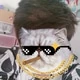 pomtay24