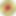taxidriver979