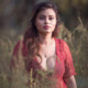 Binoysteefan