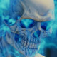 Rocky_Vai95