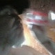 desnudoyhorny