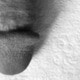 SultryBulge