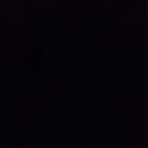 MuddiedInitial