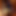 loconauta33