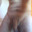 alekspetrovic