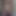 OpenmindedXP