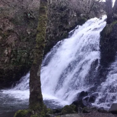 fanfontaine