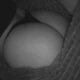 Axi_69