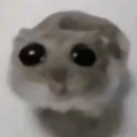 Meozw