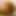 igel66