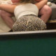Hiptop89