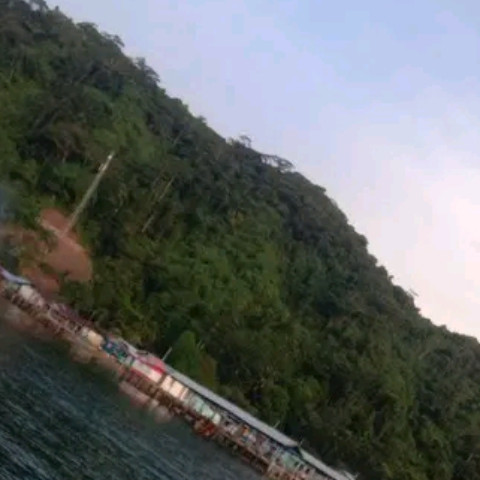 WNC97