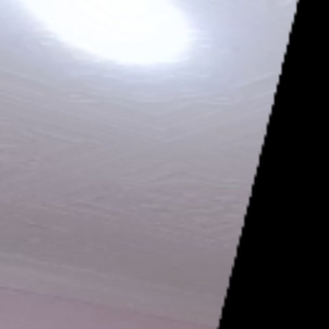 PetalousSpacer0