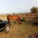 UrbanCowboy78