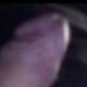 boyzao77