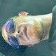 Karrot_Topp