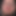 Pussyeater_555