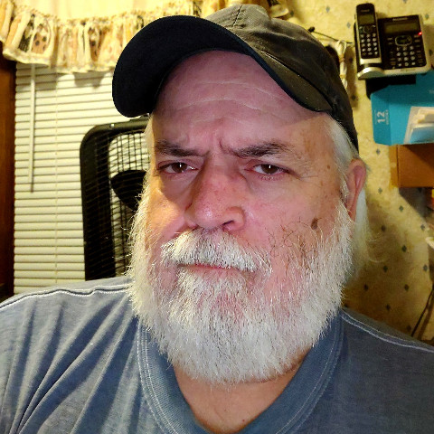 windsorbear