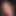 Konk_2019