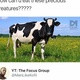 kainaguirre