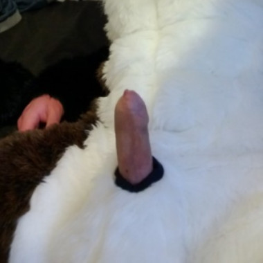 Lolimnotgay
