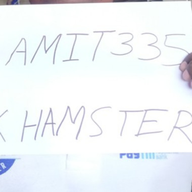 amit335