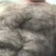 wankinghairybear