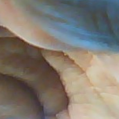 bonbon0069