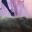 Sassywife79