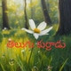 TELUGUKURRADU2026