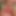 Shanali-