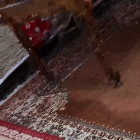 Fatimaroti