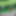 xvirus21x