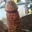 GenerousBee61