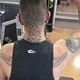 Ccnpicolo
