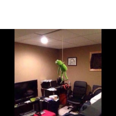 Kermit_Nuts