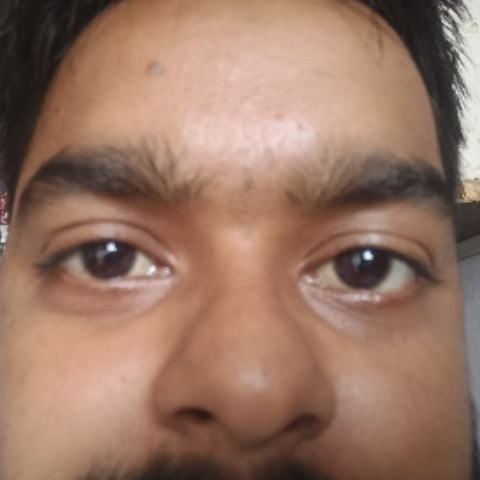 chut-ka-raja-land