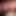 EvStPorno