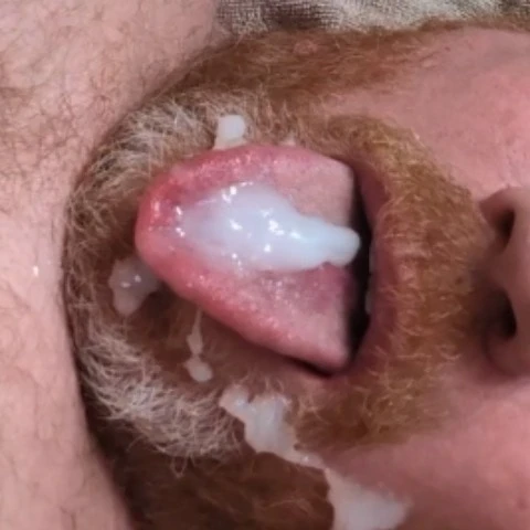 Swallowmyownload