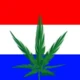 Haydaysex
