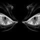 illnino31