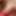 ChubBBCumslut7